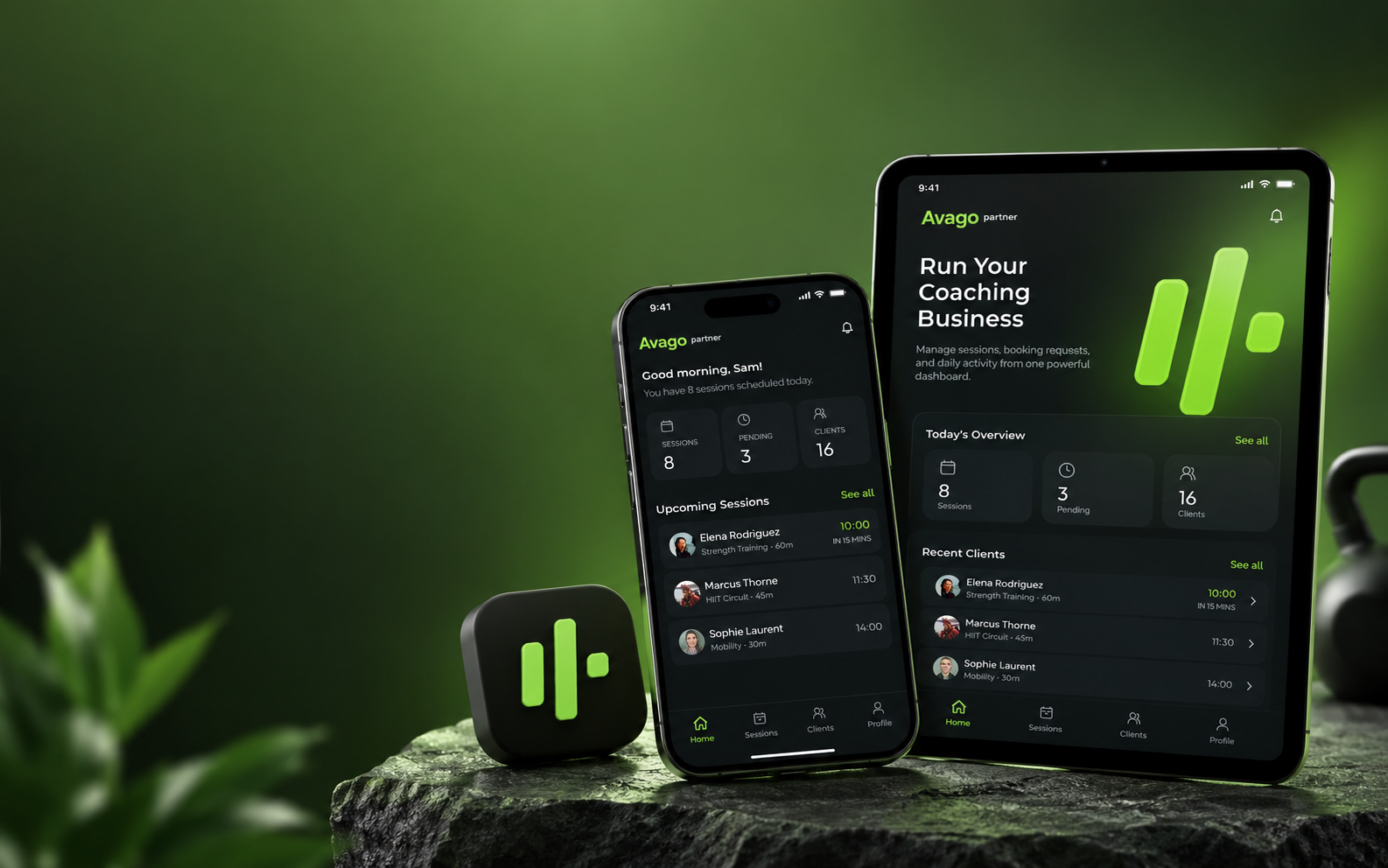 Avago Plus Partner